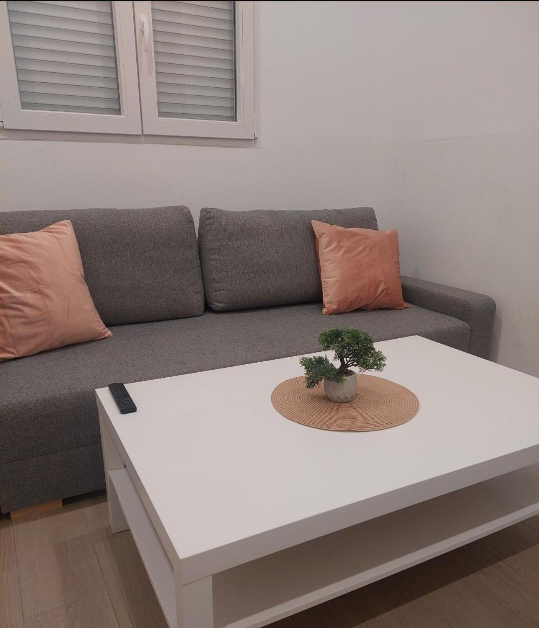 דירות אליקאנטה Cactus22 מראה חיצוני תמונה